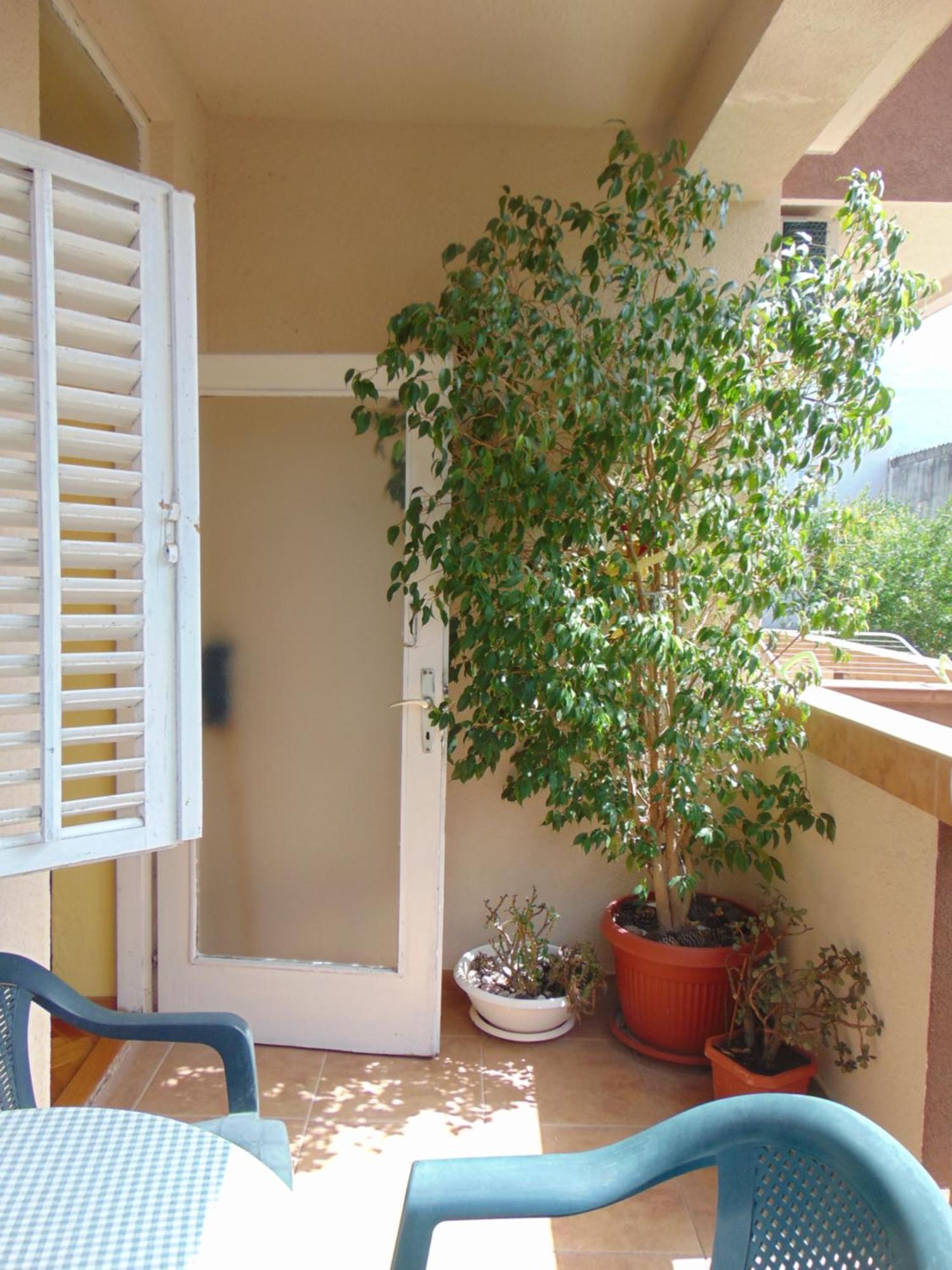 Guest House Ivan Μπούντβα Εξωτερικό φωτογραφία