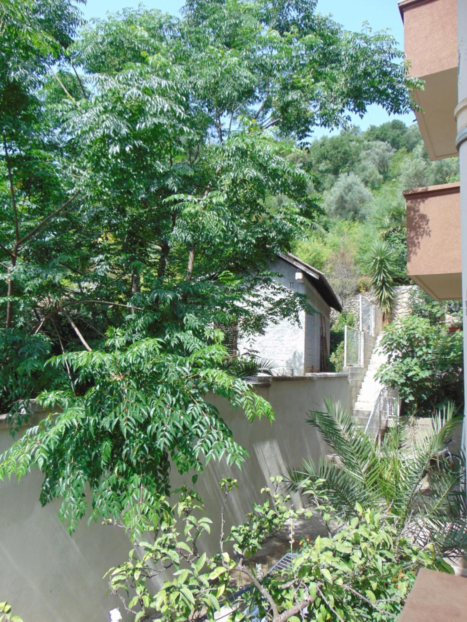 Guest House Ivan Μπούντβα Εξωτερικό φωτογραφία