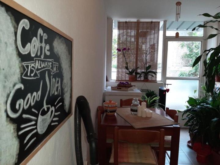Guest House Ivan Μπούντβα Εξωτερικό φωτογραφία