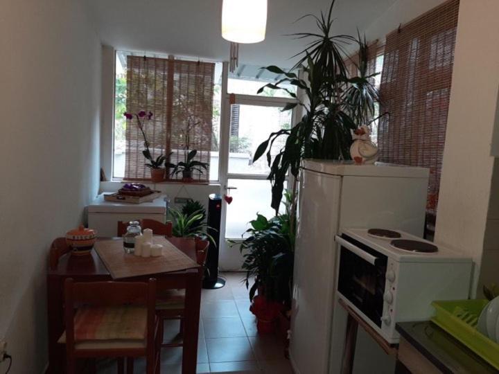 Guest House Ivan Μπούντβα Εξωτερικό φωτογραφία